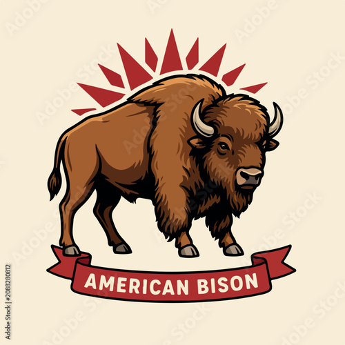 American bison vector