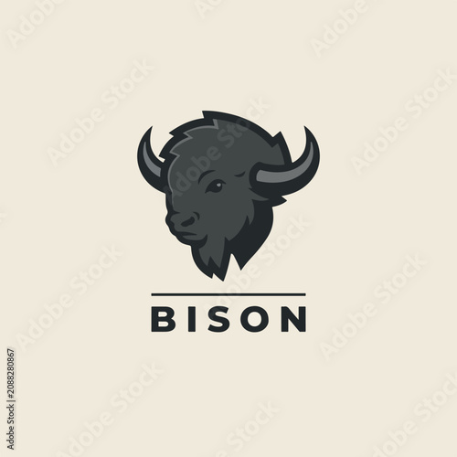 American bison vector