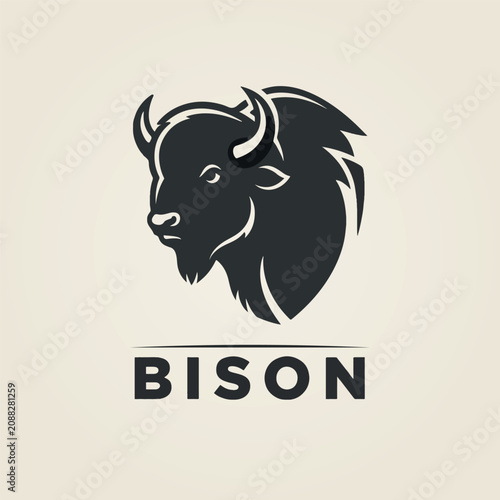 American bison vector