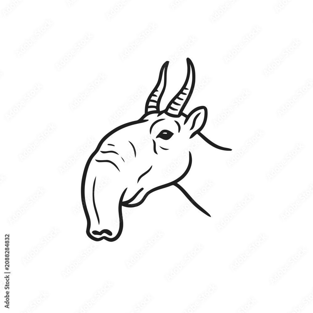 Fototapeta premium Saiga Antelope Head Illustration - Minimalist Line Art Drawing