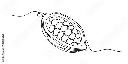 Fotografía Continuous single line drawing of a cocoa bean pod