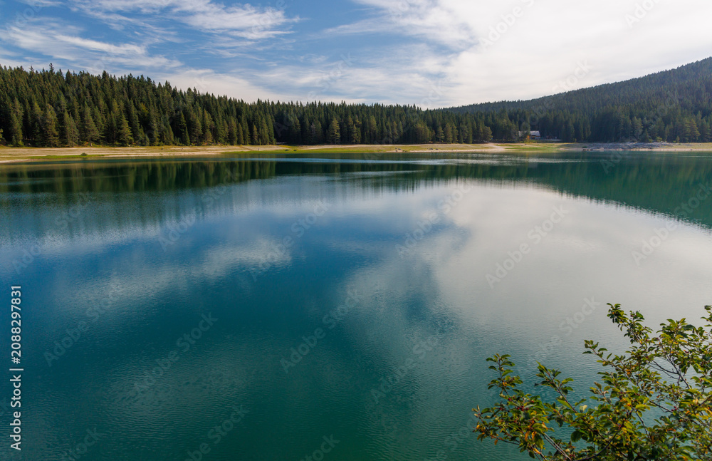 Fototapeta premium Calm lake with forest reflection under blue sky