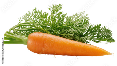 Schilderij op canvas Fresh orange carrot with green leafy tops, isolated on transparent background