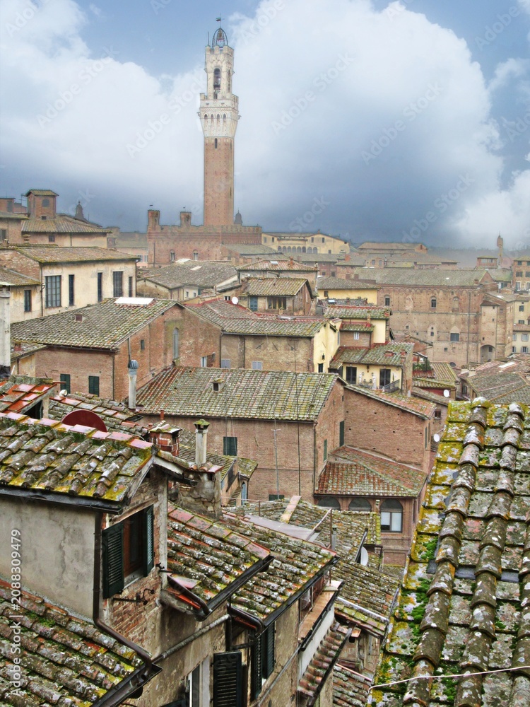 Obraz premium siena, italien - dachlandschaft mit campanile
