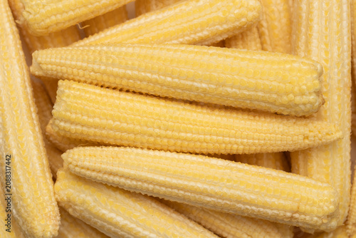 Pile of fresh raw yellow baby corns for background. Top view