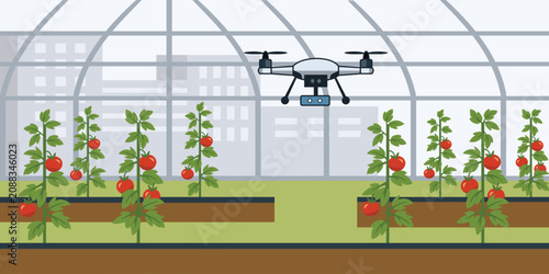 Greenhouse with Tomato Plants and Drone Illustration. Drone Monitoring Tomato Plants in Greenhouse. Automated Greenhouse Tomato Farming.
