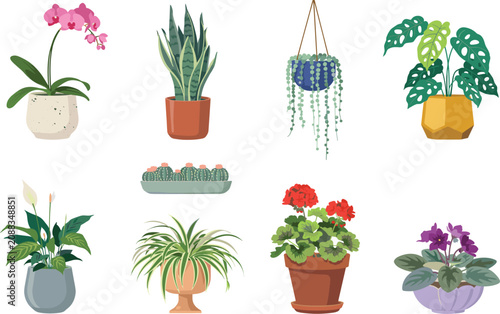 Potted Houseplants and Indoor Potted Flowers Vector Icon Set Featuring Monstera, Orchid, Cactus, and Succulents for Home Decor Graphic Designs