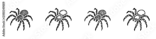 Foto Monochrome sketch tarantula logo design set