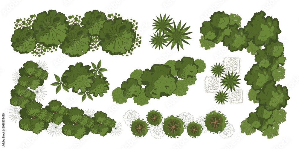 Fototapeta premium Architecture plant. Top view trees, bushes. Landscape plan with group trees, shrubs, bushes. Various green garden and park floor map elements. Vector concept
