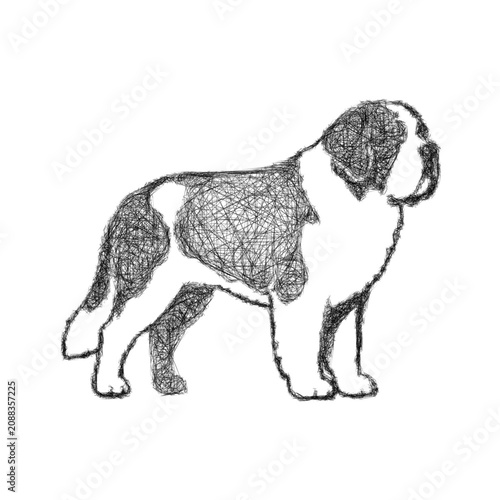 Canvastavla Sketch saint bernard icon design