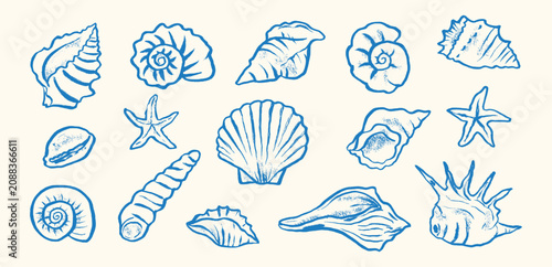 Foto Hand-drawn seashell collection