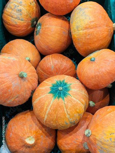Orange pumpkins and gourds filling grocery bin