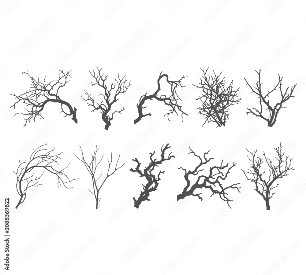 Fototapeta premium Bare Tree Branches And Twig Set Design
