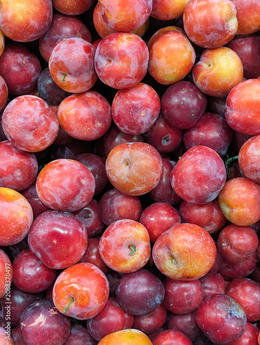 Ripe red plums pile creating full frame background