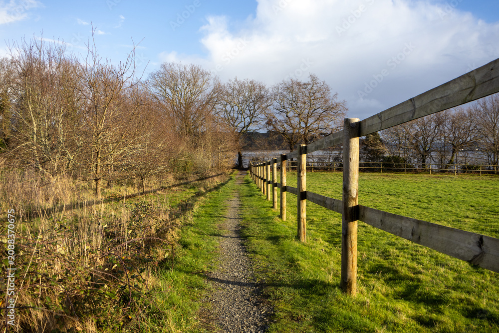 Fototapeta premium old wooden fence