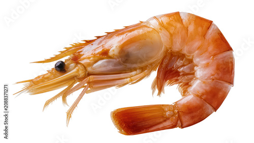Tableau sur toile Cooked orange shrimp with segmented tail, isolated on transparent background