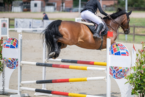 Pferd springt über ein Hindernis beim Springreiten