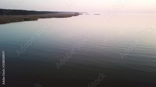 Low forward drone clip above the Curonian Lagoon, swans on water, shores on the left, blue hour, Lithuania
