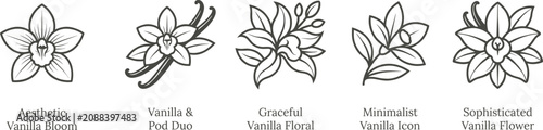 Vanilla flower line art icon set elegant botanical orchid blossom and pods bundle aesthetic food ingredient logo design elements black vector illustration