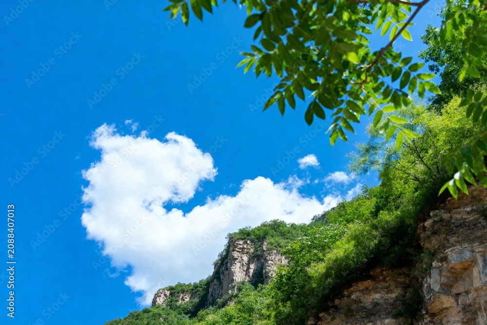 Fototapeta premium A rocky cliff covered in green vegetation under a bright blue sky with fluffy white clouds