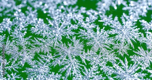 Beautiful Ice Crystals Growing on Bright Green Background Macro