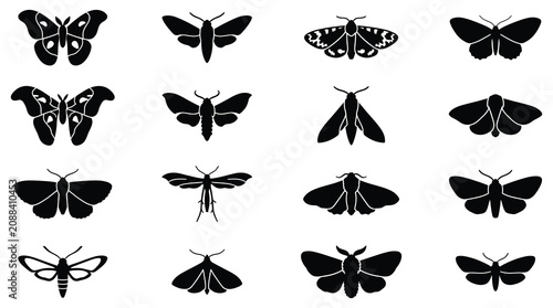 Collection of black moths and butterflies silhouettes