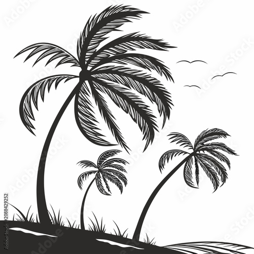 Foto Black and white of three palm trees swaying in a strong wind with flying birds o