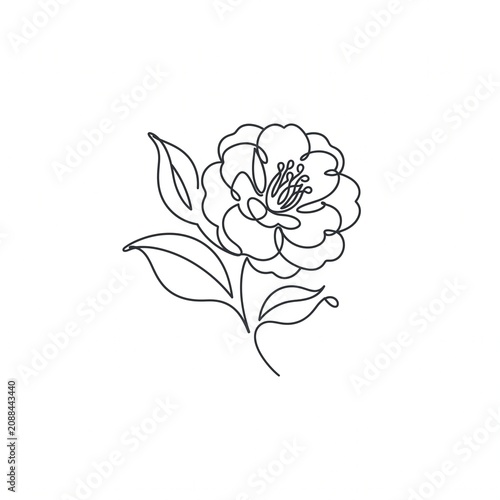 Minimalist single line drawing of elegant flower with leaves on white background for modern aesthetic design