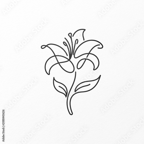 Minimalist Single Line Drawing of a Blooming Lily Flower Botanical Illustration for Elegant Decorative Art and Floral Design Projects