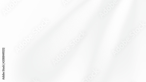 Konstfotografi Transparent png with soft natural sunlight shadow overlay on textured wall surfa