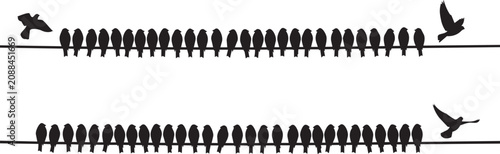 Flock of birds perched on wires with one flying away during daylight against a white background concept