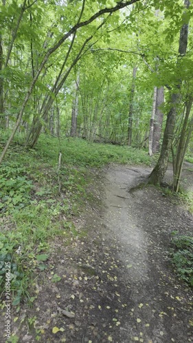 A winding dirt path stretches through a dense green forest with tall trees. Thick canopy overhead creates a shaded natural environment.