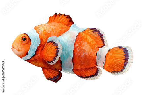 Vibrant orange clownfish swimming isolated on transparent background.