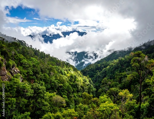 Lush Green Forest Valley Covered by Clouds in Mountain Landscape