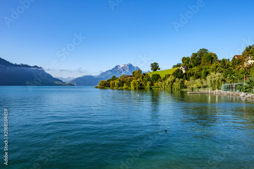 Idyllic shoreline of Weggis on Lake Lucerne with lush greenery, mountains, and clear blue sky, Switzerland