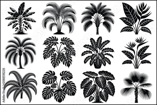 Collection of various palm tree silhouettes in black and white
