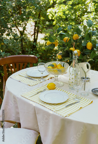 Obraz na plátně Sunny outdoor table setting with fresh lemons and elegant garden dining decor