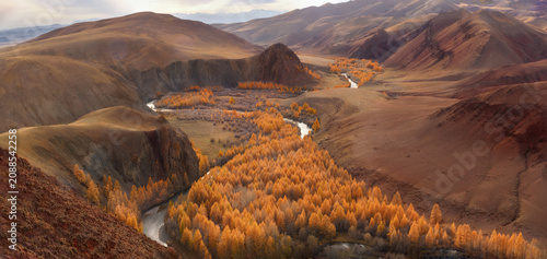 Mountain river in the valley with a view of yellow larches, mountains and autumn at dawn. Altai Republic, Kosh-Agach district, Russia