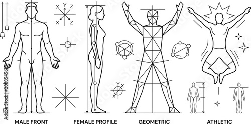 Foto Human anatomy proportion icons with male female geometric and athletic body vect