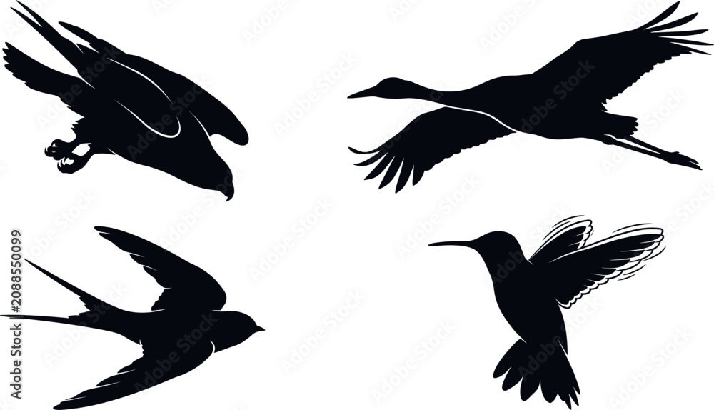 Obraz premium Flying Wild Birds and Avian Species Solid Black Silhouette Vector Set Collection Featuring Diving Hawk, Soaring Crane Heron, Gliding Swallow, and Hovering Hummingbird Elements