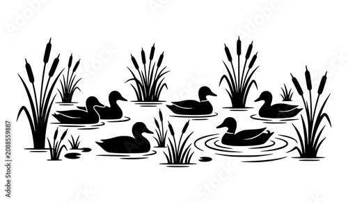 Photos Simple Duck Pond Landscape Illustration with Swimming Ducks Reeds and Calm Wetla