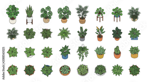Top View Colored Indoor Plants And Planters Architectural Plan Vector Icons Sheet