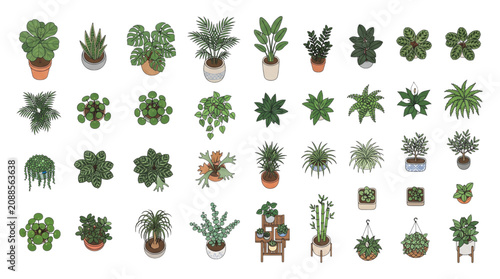 Colored Indoor Plants And Planters Architectural Plan Vector Icons Sheet