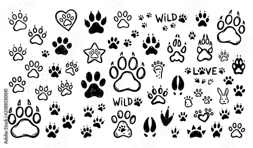 Photography Animal paw prints and tracks doodle vector set, featuring wild predator, dog, cat, and bird footprints