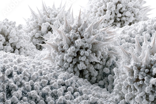 Frost-covered Coral Buds in Arctic Waters