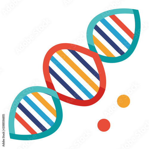 Dna Strands with Colorful Stripes on a White Background Featuring Genetics, Biology, Science with Research and Medical Elements