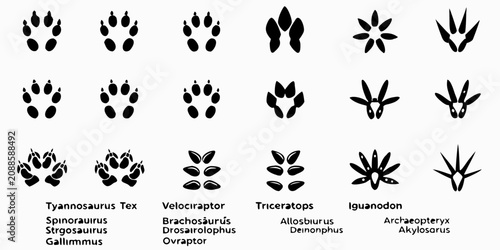 Photos Dinosaur Footprint Silhouettes On White Background Paleontology Illustration