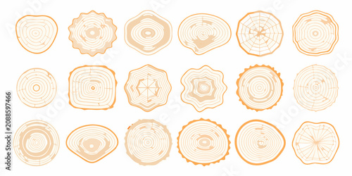 Foto Wood Log Cross Sections Vector Illustration Set With Varied Grain Patterns