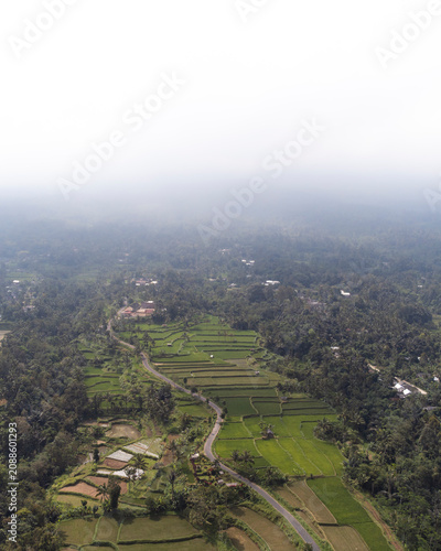 Aerial View of Lush Rice Terraces and Tropical Countryside in Lombok Indonesia