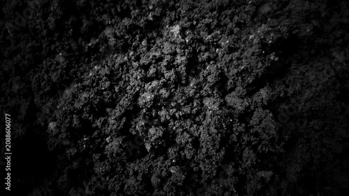 Photos Top view of dark fertile soil texture with dramatic vignette lighting